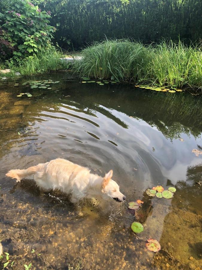 Millies Hosting - Familienurlaub Mit Hund In Kaernten Sankt Paul im Lavanttal Luaran gambar