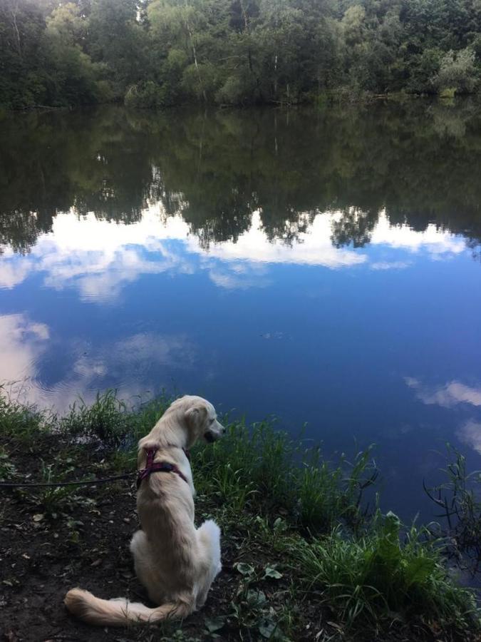 Millies Hosting - Familienurlaub Mit Hund In Kaernten Sankt Paul im Lavanttal Luaran gambar