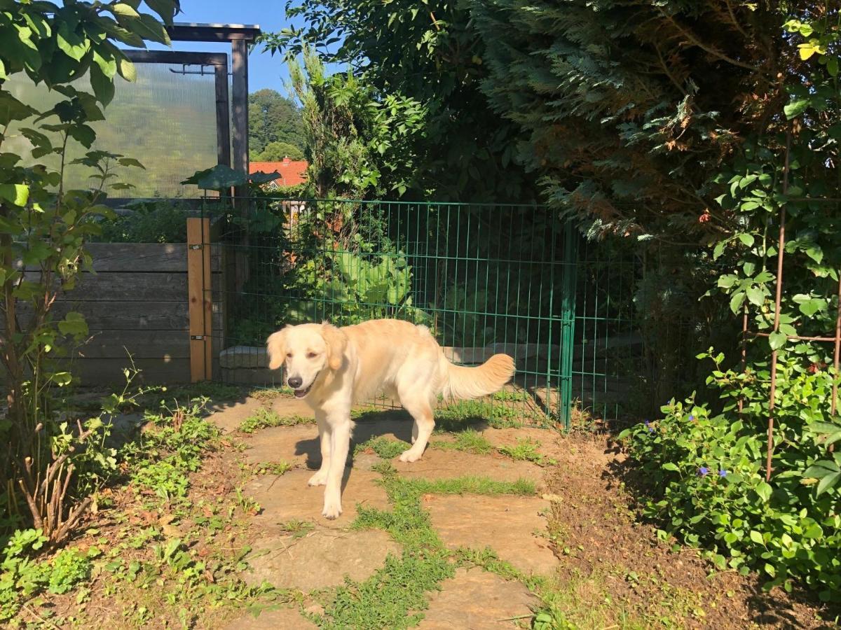 Millies Hosting - Familienurlaub Mit Hund In Kaernten Sankt Paul im Lavanttal Luaran gambar