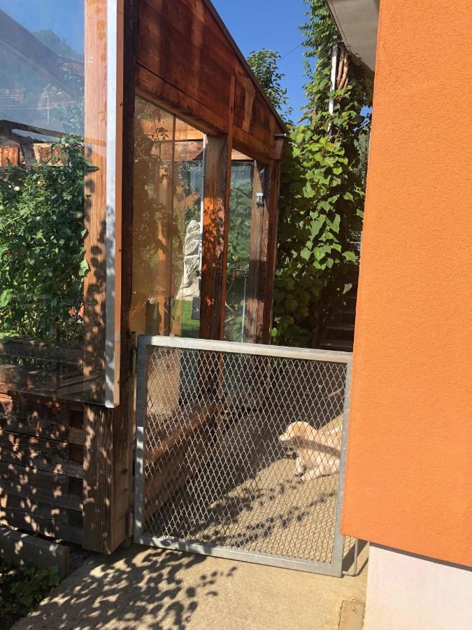Millies Hosting - Familienurlaub Mit Hund In Kaernten Sankt Paul im Lavanttal Luaran gambar