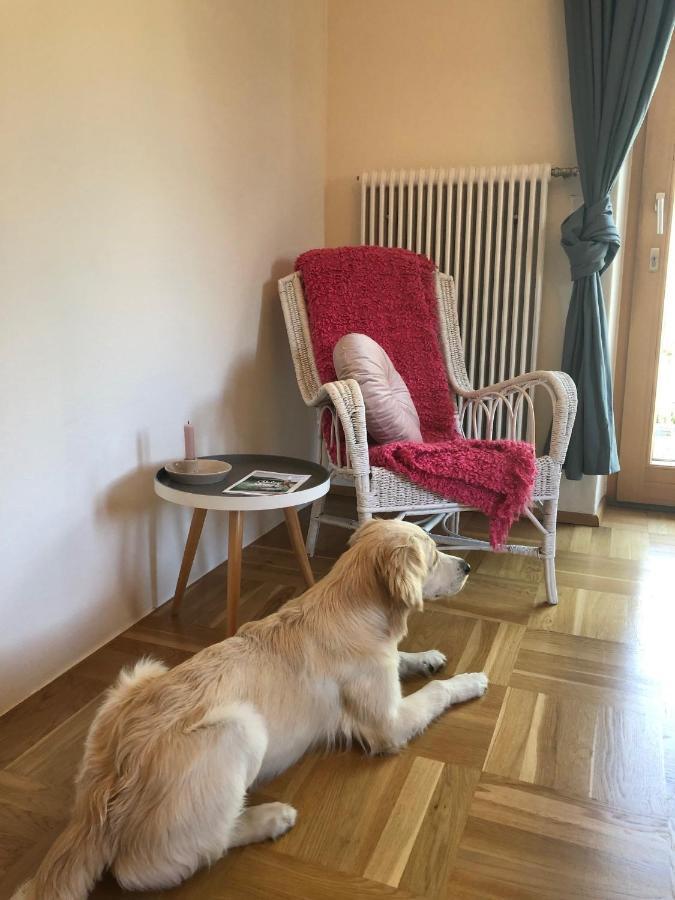 Millies Hosting - Familienurlaub Mit Hund In Kaernten Apartment Sankt Paul im Lavanttal Luaran gambar