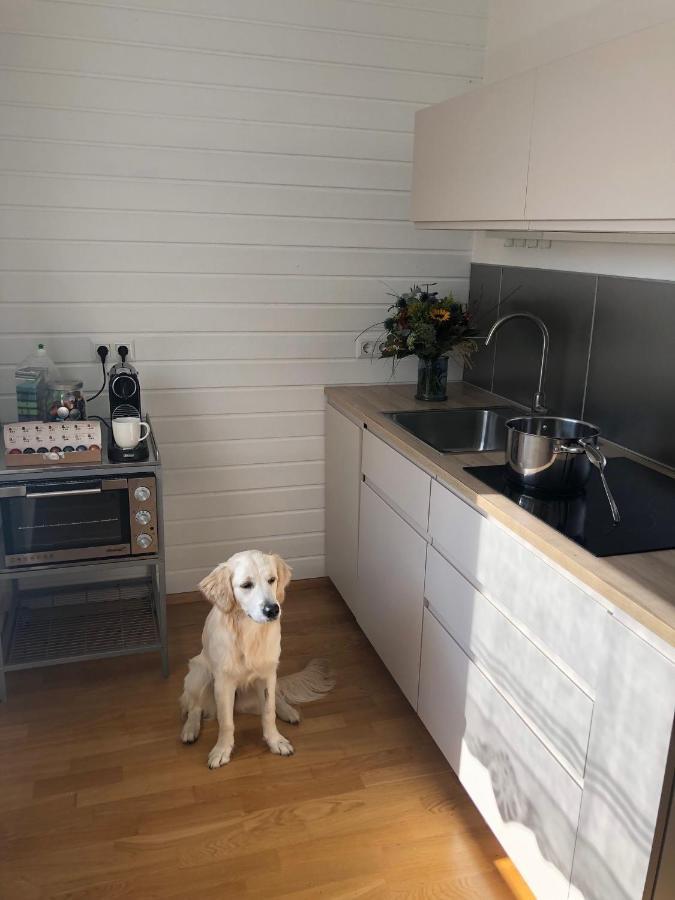 Millies Hosting - Familienurlaub Mit Hund In Kaernten Apartment Sankt Paul im Lavanttal Luaran gambar