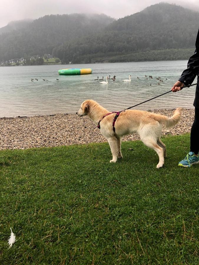 Millies Hosting - Familienurlaub Mit Hund In Kaernten Apartment Sankt Paul im Lavanttal Luaran gambar