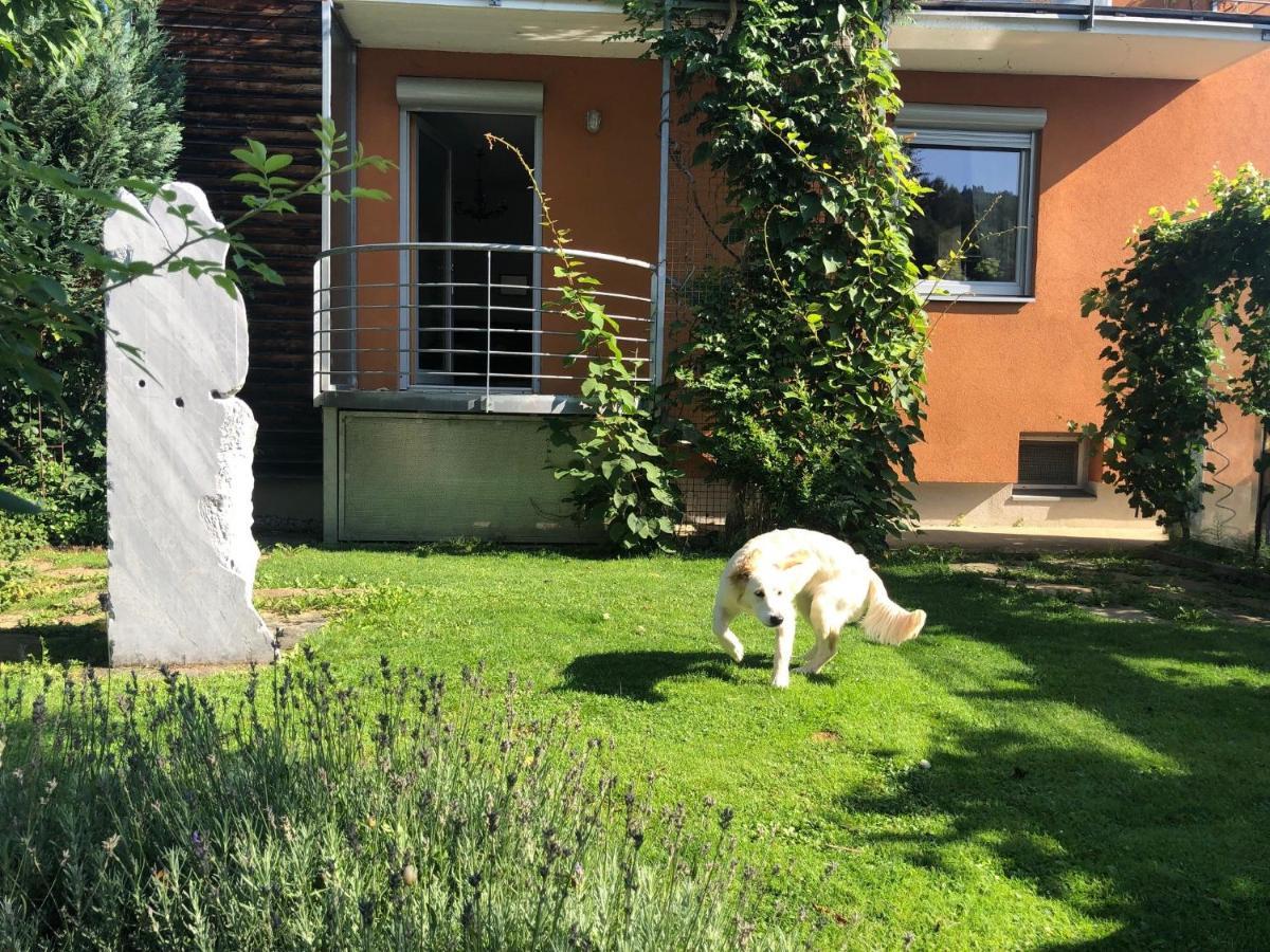 Millies Hosting - Familienurlaub Mit Hund In Kaernten Apartment Sankt Paul im Lavanttal Luaran gambar