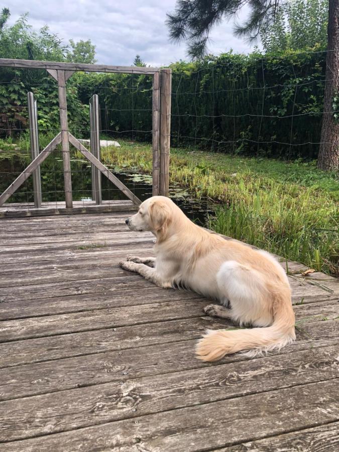 Millies Hosting - Familienurlaub Mit Hund In Kaernten Sankt Paul im Lavanttal Luaran gambar