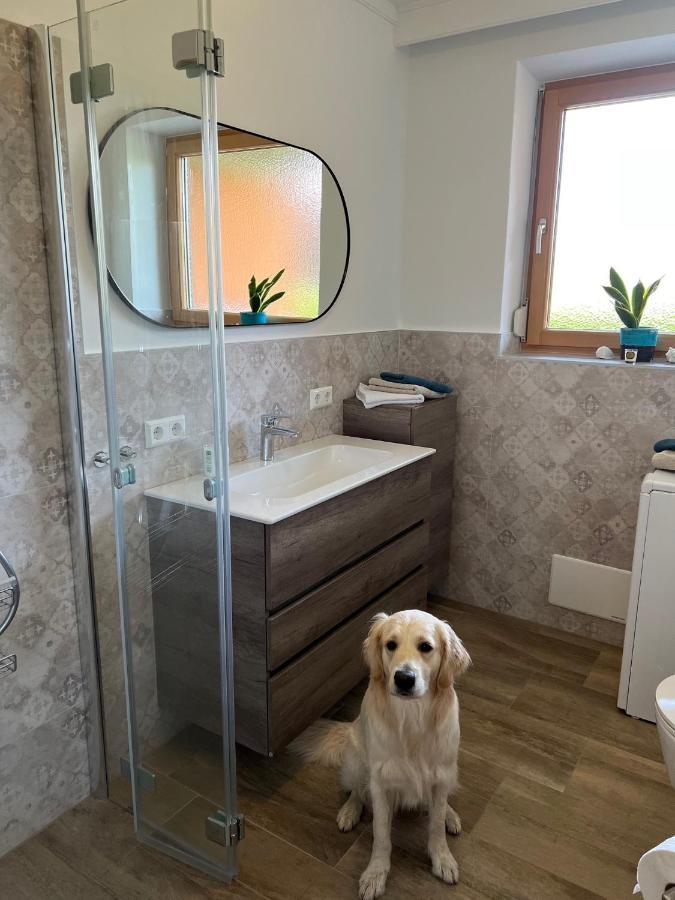 Millies Hosting - Familienurlaub Mit Hund In Kaernten Sankt Paul im Lavanttal Luaran gambar