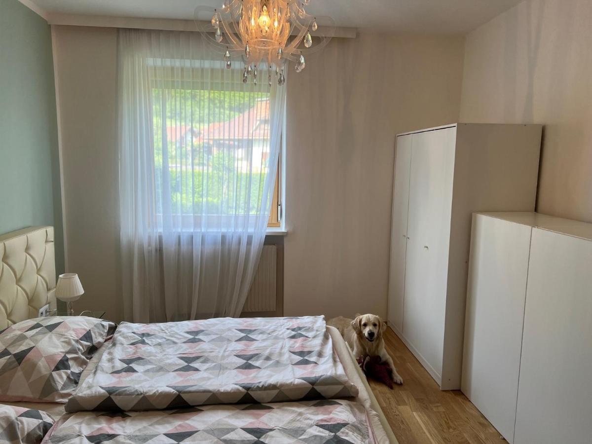 Millies Hosting - Familienurlaub Mit Hund In Kaernten Sankt Paul im Lavanttal Luaran gambar